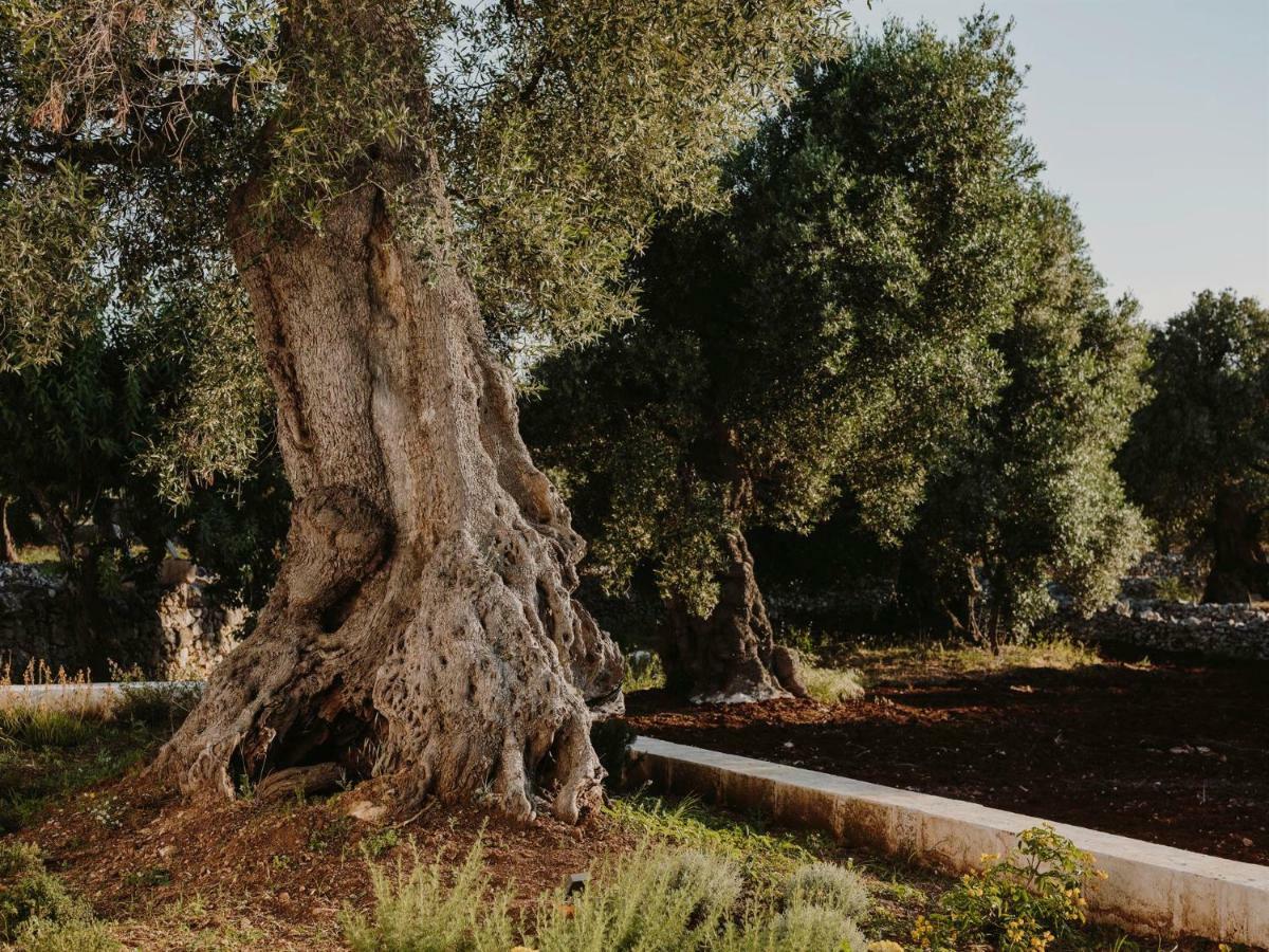 Masseria Dagilupi Ostuni Extérieur photo